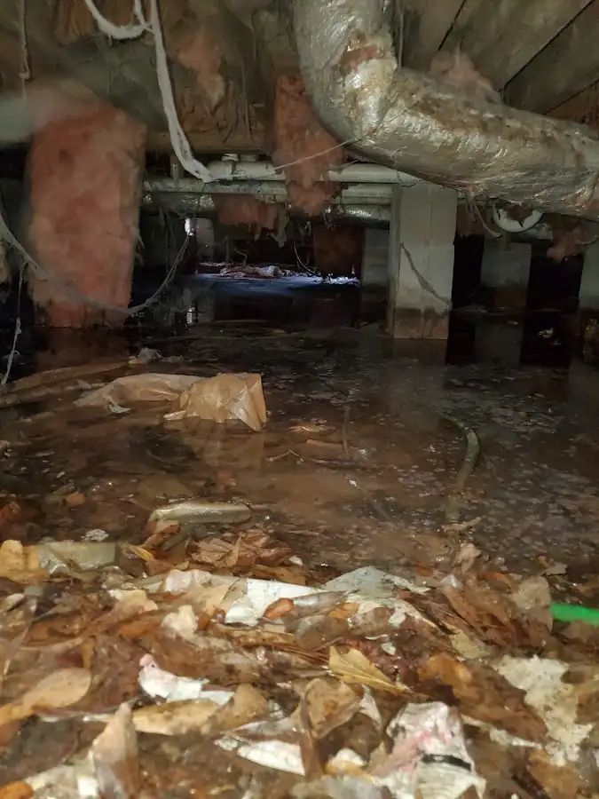 Crawl space flood assessment for Commercial Water Damage Restoration in Whiskey Creek