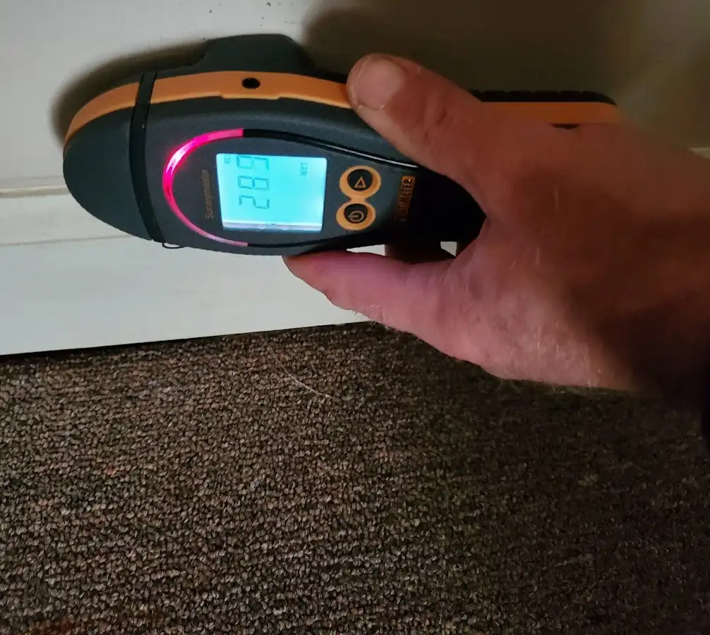 Moisture detection at baseboard during Sewage Cleanup & Sanitation in Whiskey Creek